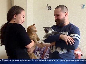 Когда аномальные морозы в Казахстане пойдут на спад? Когда аномальные морозы в Казахстане пойдут на спад?