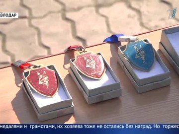 Служебно-розыскные собаки Служебно-розыскные собаки