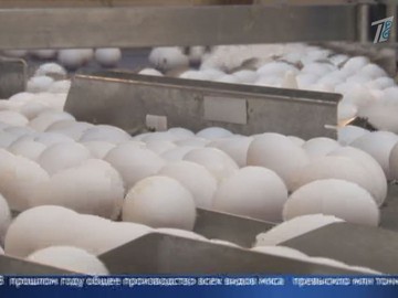 Из-за реформ в сельском хозяйстве фермеры на грани банкротства! Из-за реформ в сельском хозяйстве фермеры на грани банкротства!