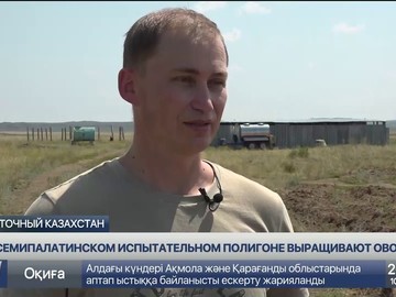 Овощи выращивают на территории бывшего Семипалатинского полигона Овощи выращивают на территории бывшего Семипалатинского полигона