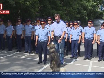 Собаке, спасавшей женщину от насильника, подарили корм