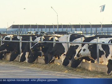Сколько получает глава Сколько получает глава