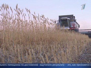 Производителей 6 видов продукции будет поддерживать государство Производителей 6 видов продукции будет поддерживать государство