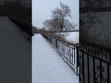 Отлов собак Отлов собак