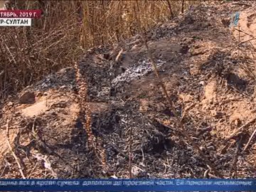 Кровавая драма: столичный житель поджёг жену из ревности Кровавая драма: столичный житель поджёг жену из ревности