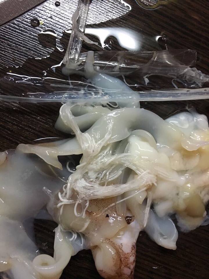 кальмары