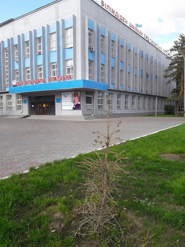 озеленение Семея