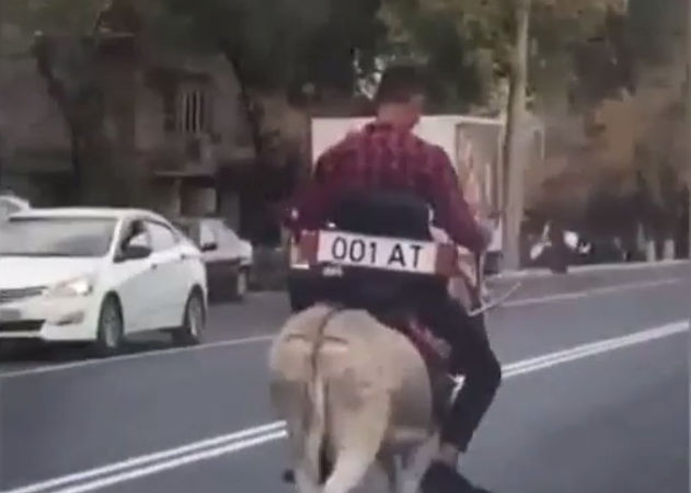 Езда на ишаке