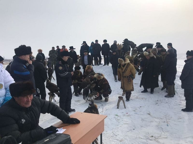соревнования беркутчи