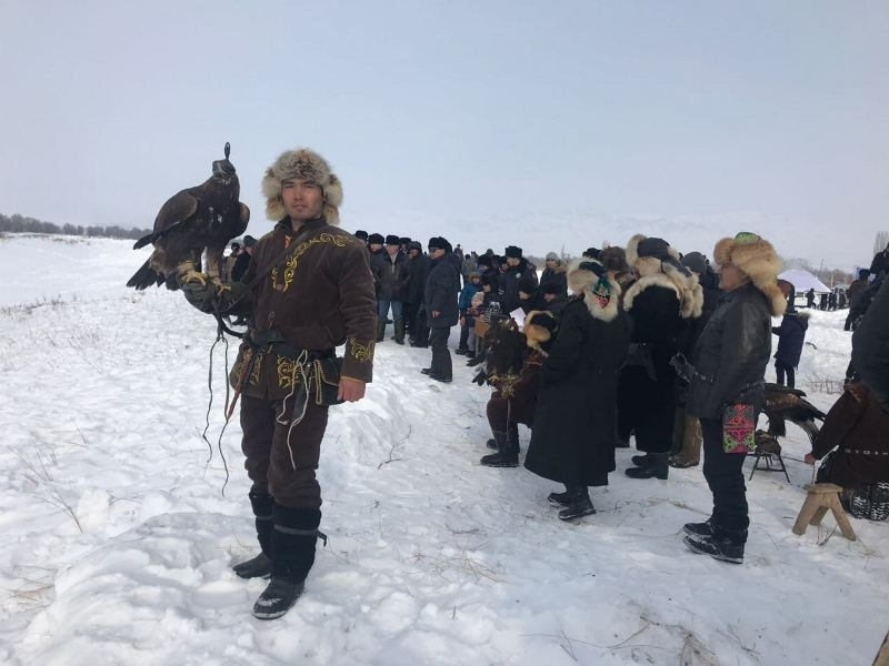 соревнования беркутчи