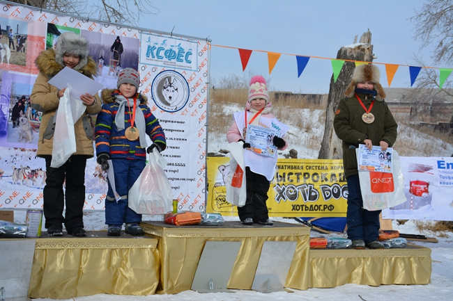первые международные гонки на собачьих упряжках «Snow race» в Павлодаре