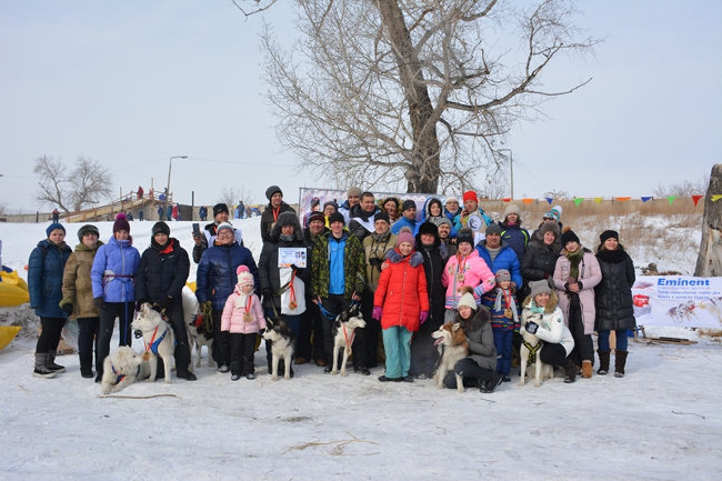 первые международные гонки на собачьих упряжках «Snow race» в Павлодаре