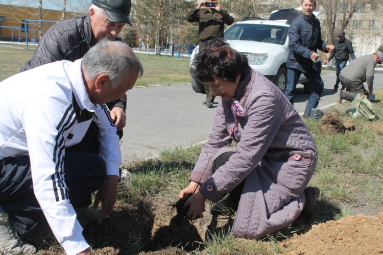 Ветераны пожарной охраны города Семей заложили Аллею памяти