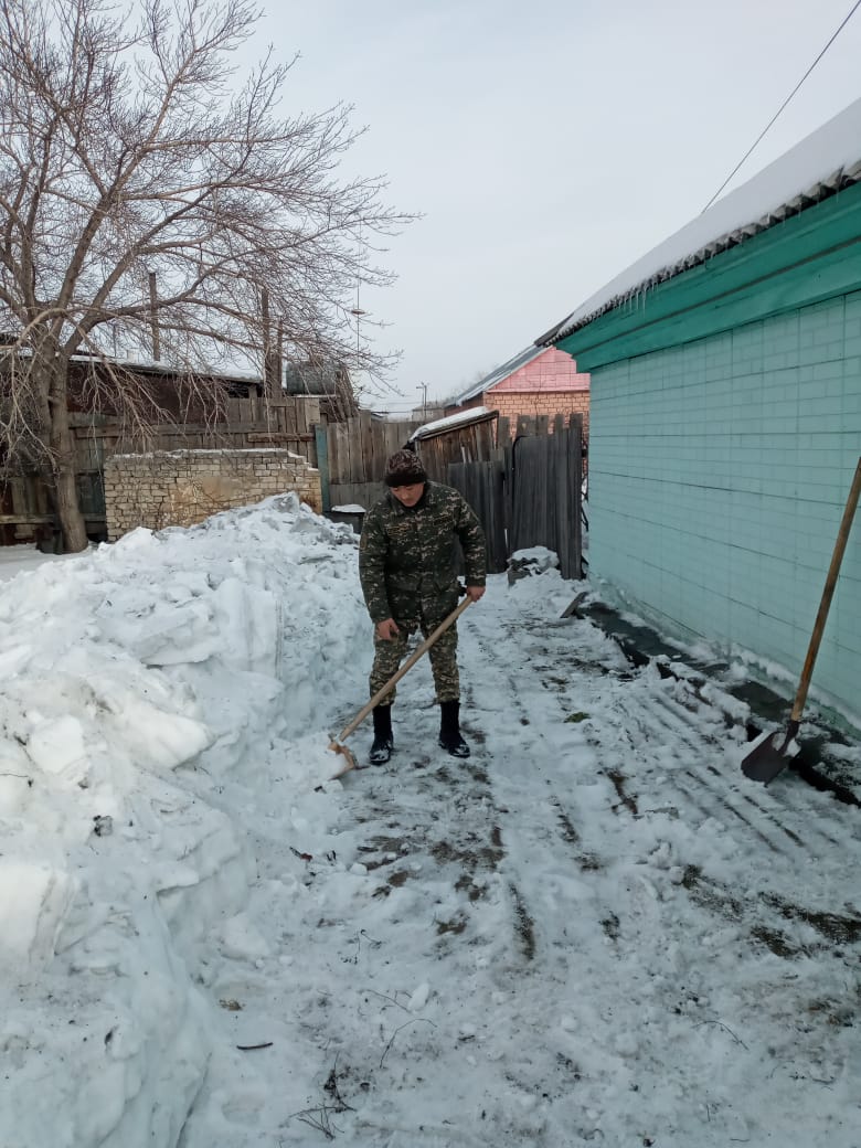 Развитие волонтерства