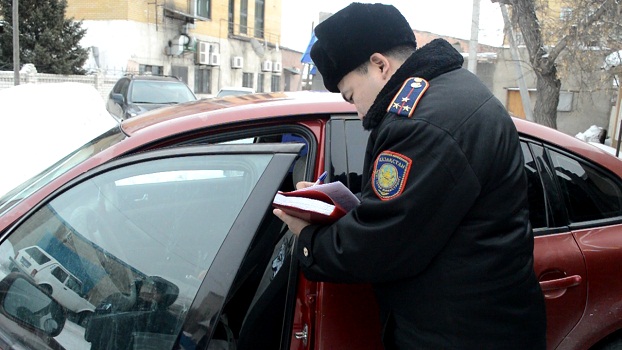 В Семее установлена и задержана преступная группа, промышлявшая скотокрадством