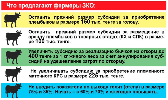 Фермеры рассказали, как разваливается животноводческая отрасль Казахстана