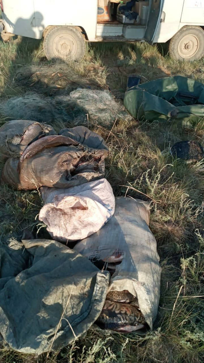 В ВКО изъято более 200 килограмм незаконно добытой рыбы