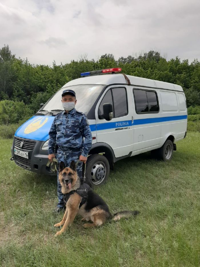 За пять месяцев текущего года служебные собаки ДП ВКО  способствовали  раскрытию 189 преступлений