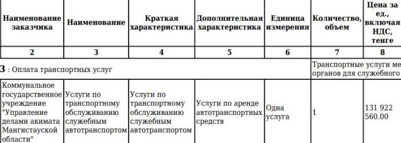 Пока врачи собирают деньги на медаппараты, чиновники арендуют престижные внедорожники