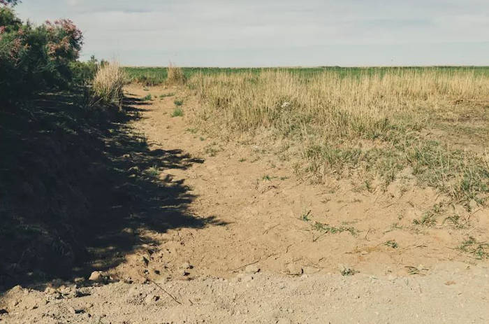 Водоемам Западно-Казахстанской области грозит исчезновение