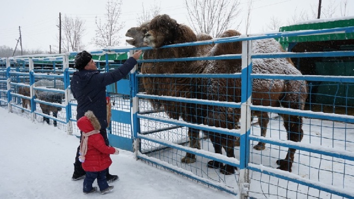 В биоцентре Семея проснулся медведь