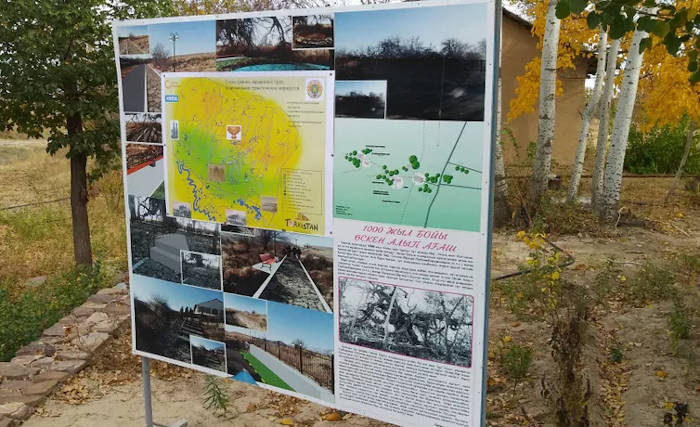 Паломники спешат увидеть тысячелетнее дерево в пригороде Туркестана