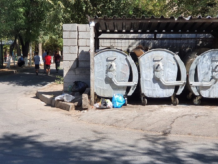От укусов крыс пострадали 22 человека в Шымкенте