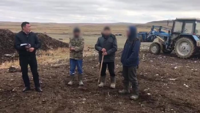 В Абайском районе задержана группа скотокрадов