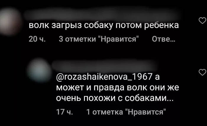 Огромный зверь третий день ходит к дому погибшей в Лесхозе девочки