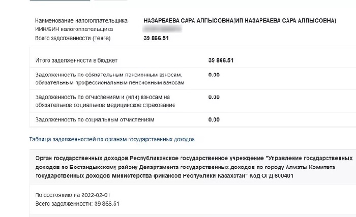 Сколько Сара Назарбаева должна государству?