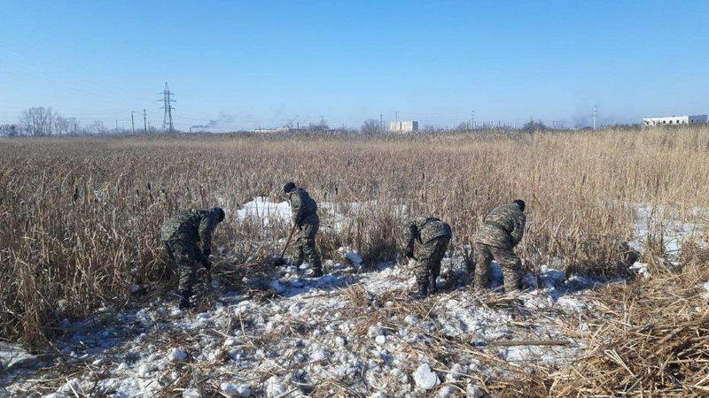 Противопаводковые мероприятия проводят в Семее
