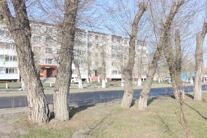 В Семее будет усилена работа по благоустройству улиц и парков
