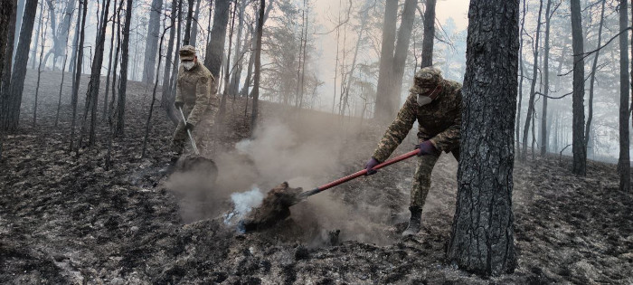 Мы должны беречь природу 