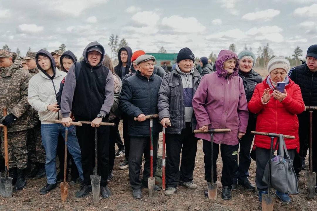 В Семее высажено более 23 тысяч саженцев