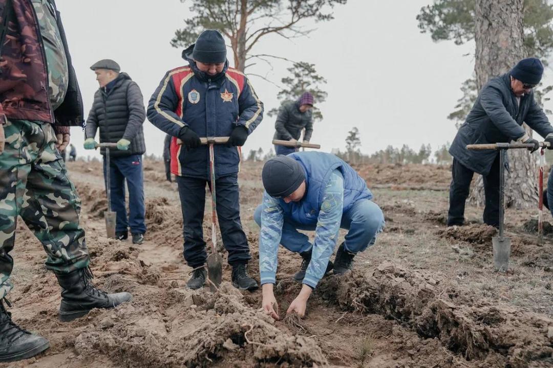 В Семее высажено более 23 тысяч саженцев