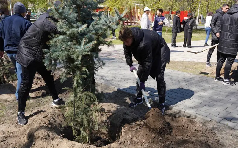 Футболисты «Елимая» посадили деревья в Семее
