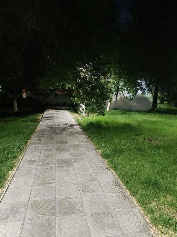 В Семее продолжаются работы по уничтожению комаров