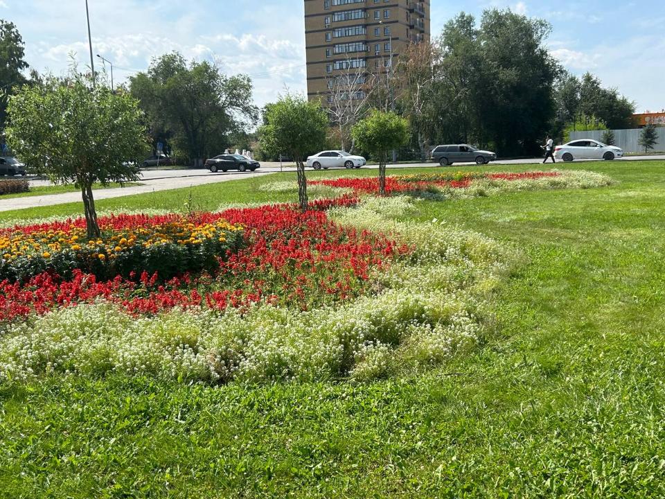 В этом году в Семее особое внимание было уделено посадке многолетних цветов