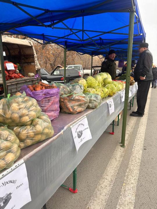 Осенняя ярмарка сельскохозяйственной продукции прошла в Семее