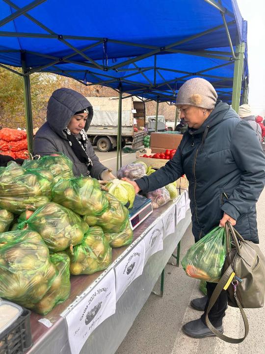 Осенняя ярмарка сельскохозяйственной продукции прошла в Семее