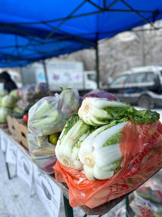 Осенняя ярмарка прошла в Семее