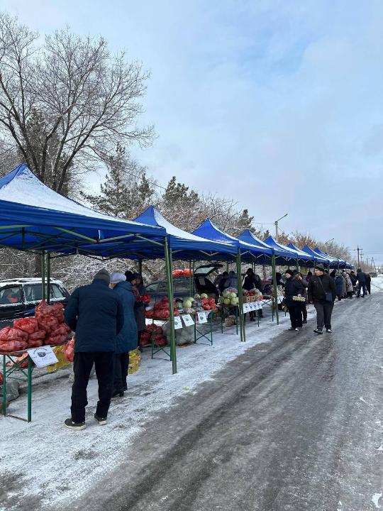 Осенняя ярмарка прошла в Семее