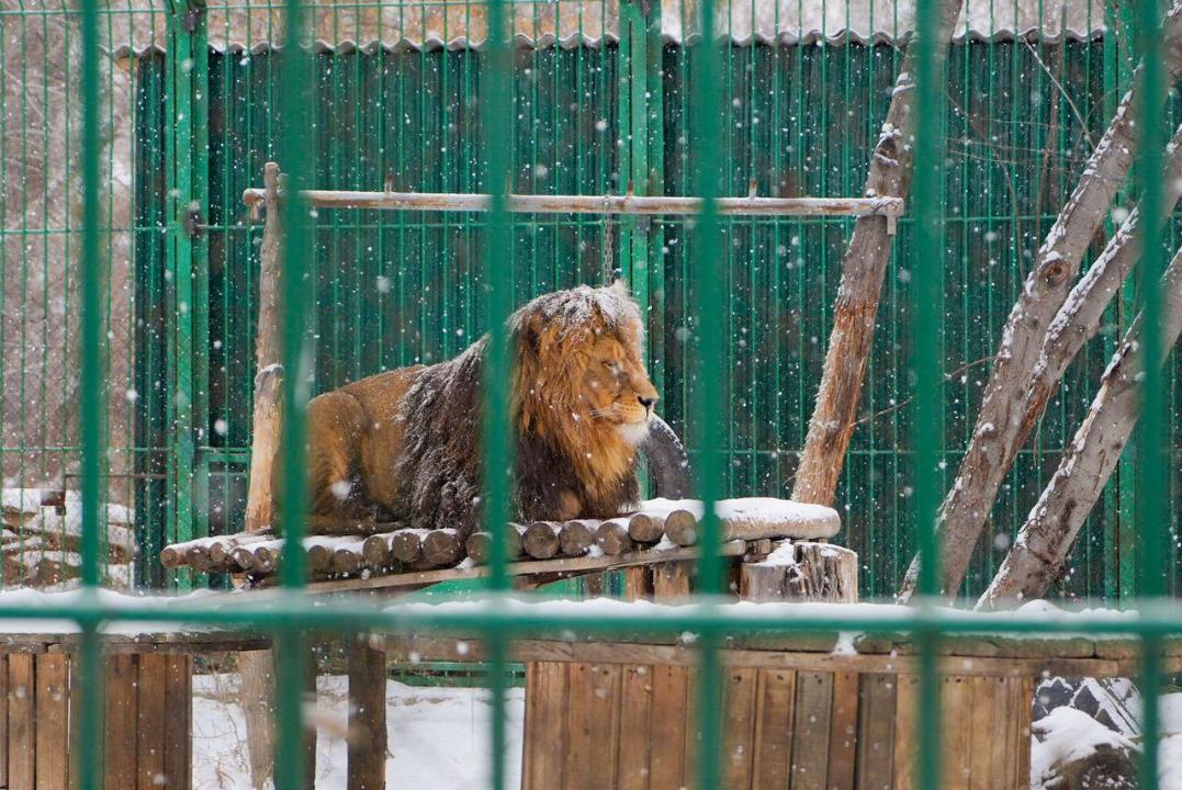 В области Абай организовали зимние каникулы для детей
