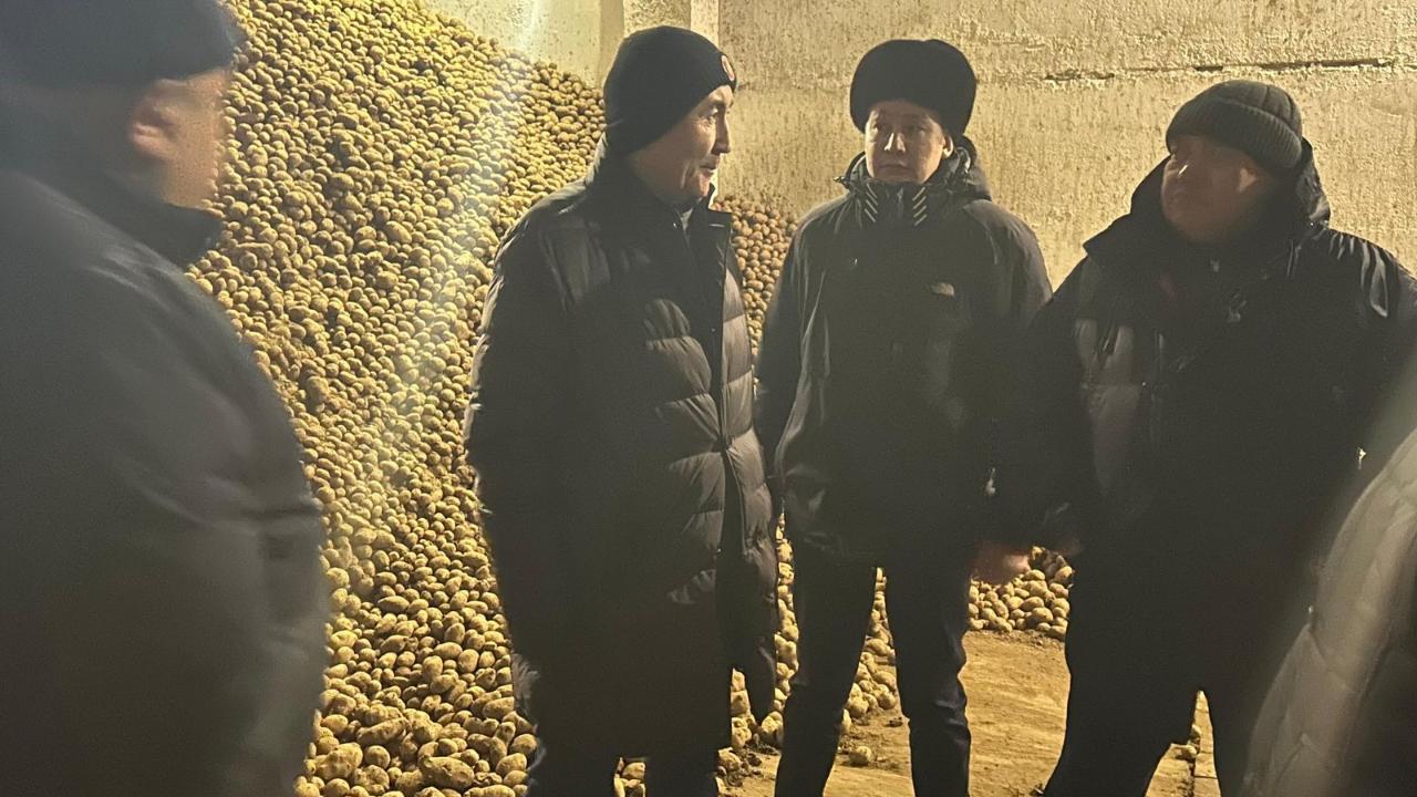 В области примут меры для сдерживания цен на картофель