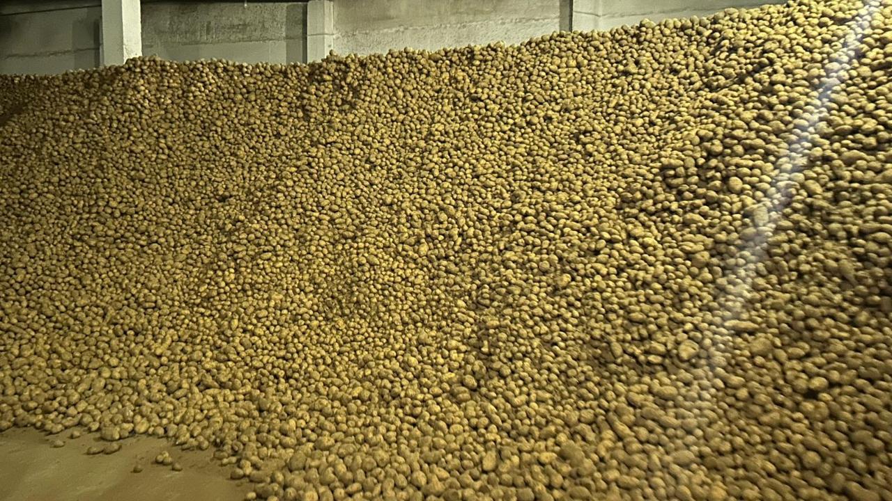 В области примут меры для сдерживания цен на картофель
