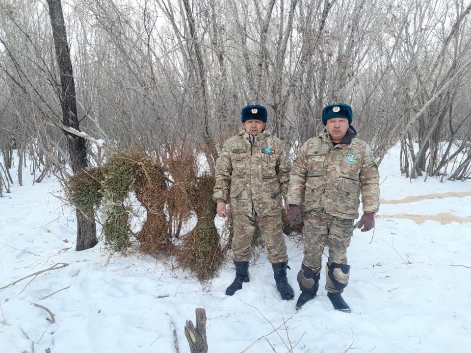 Лесники области поддерживают диких животных в суровые морозы