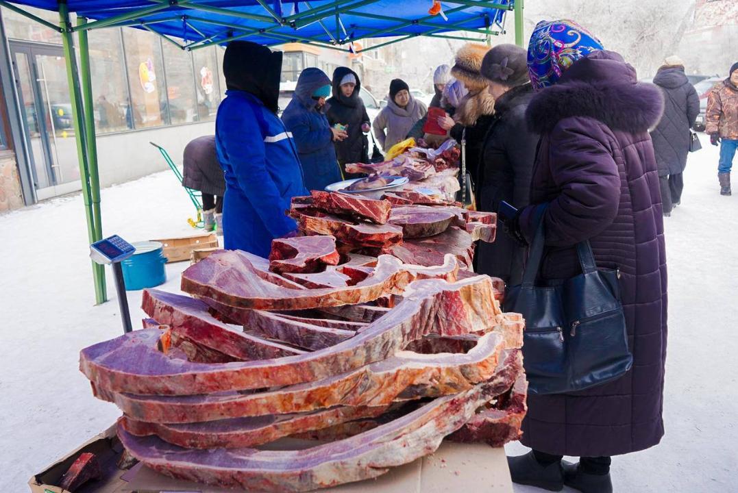 В Семее прошла сельскохозяйственная ярмарка