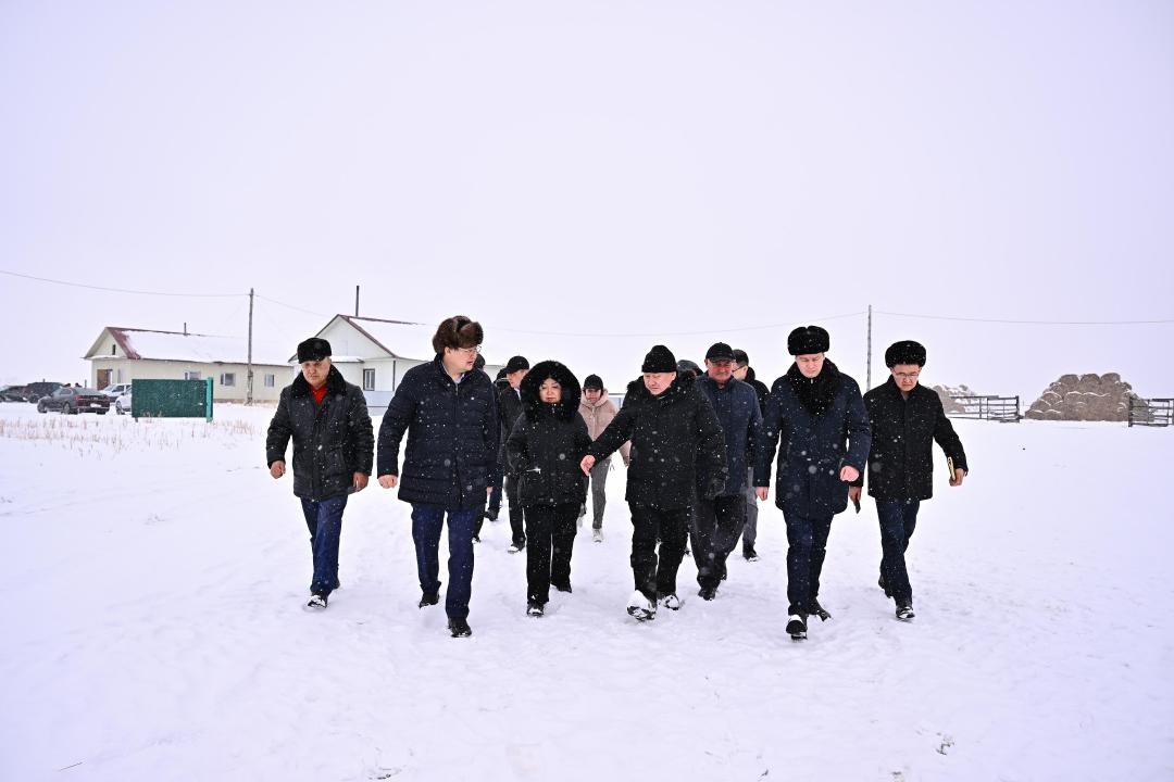 Аким области ознакомился с работой хозяйства по разведению племенных лошадей