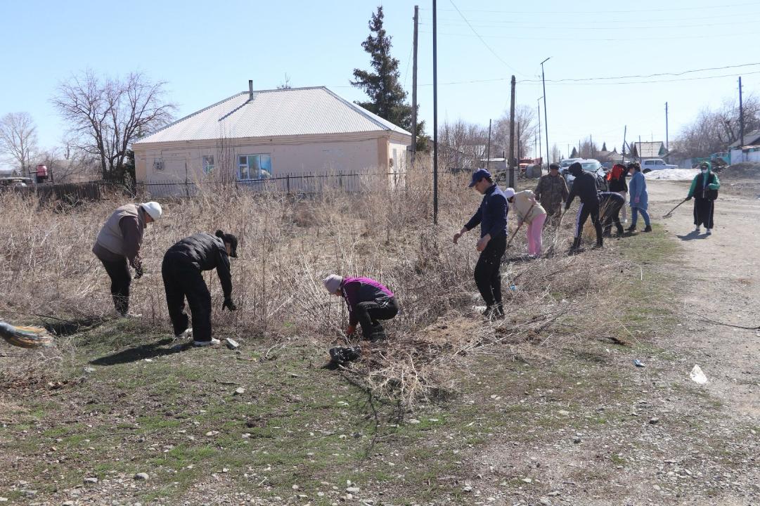 В области продолжается акция по уборке