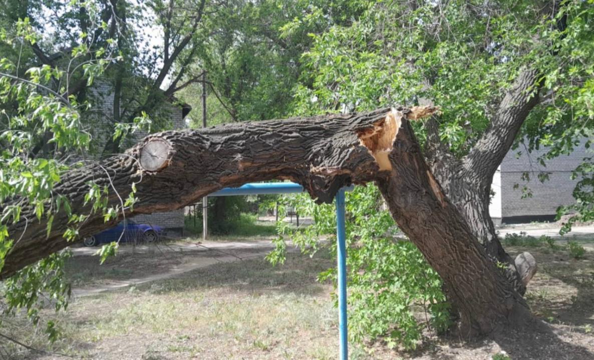 Вопрос чистоты Семея на особом контроле